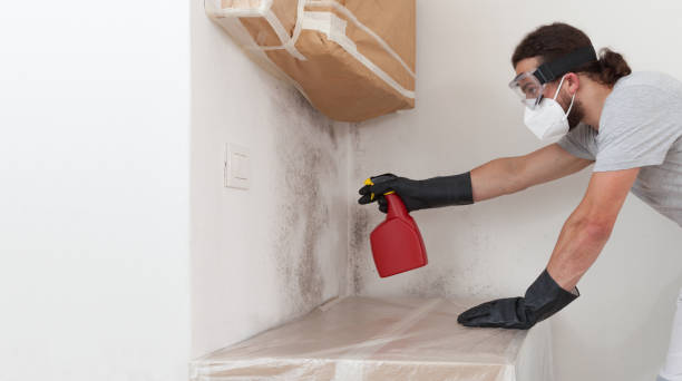 Professional Attic Mold Remediation technician working in Oakdale, PA